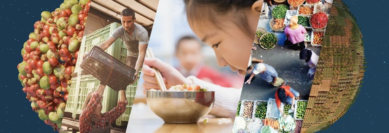 food-security-hero-imageartboard-43x.png