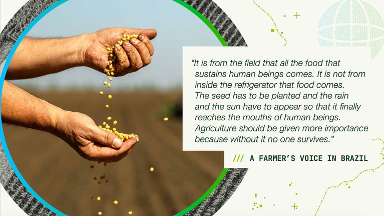 fvquote-bz.png