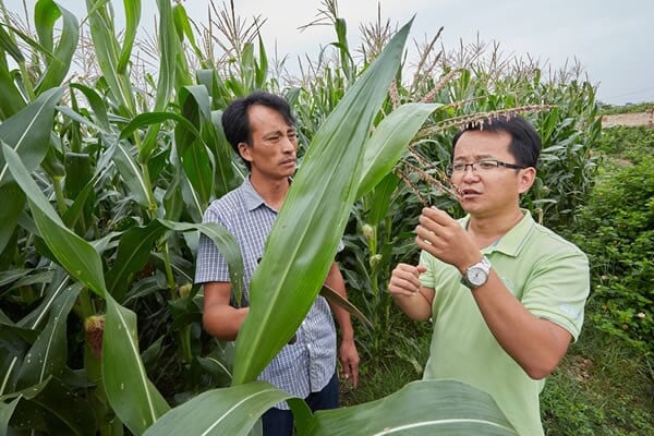 gallery-diminuicao-agricolas-03_0.jpg
