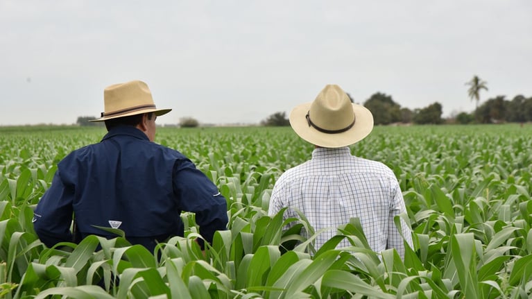 Gallery2_farmers-with-VITALA-1280x720-.jpg