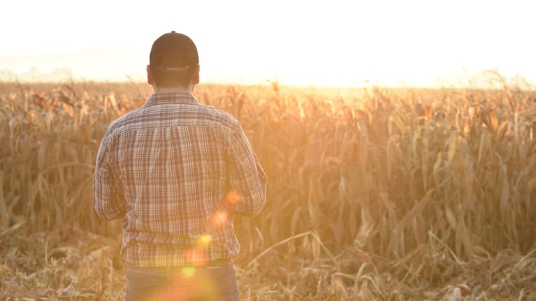 Gallery4 farmer with vitala Sunshot lateseason 1280x720