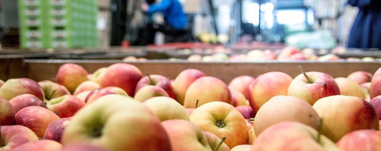 german-apples-crop.jpg