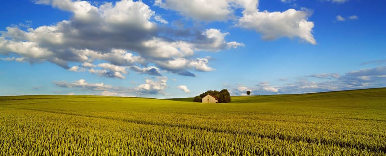 getreidefeld-mit-haus-und-wolken.jpg
