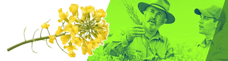 gmo-regulations2.png