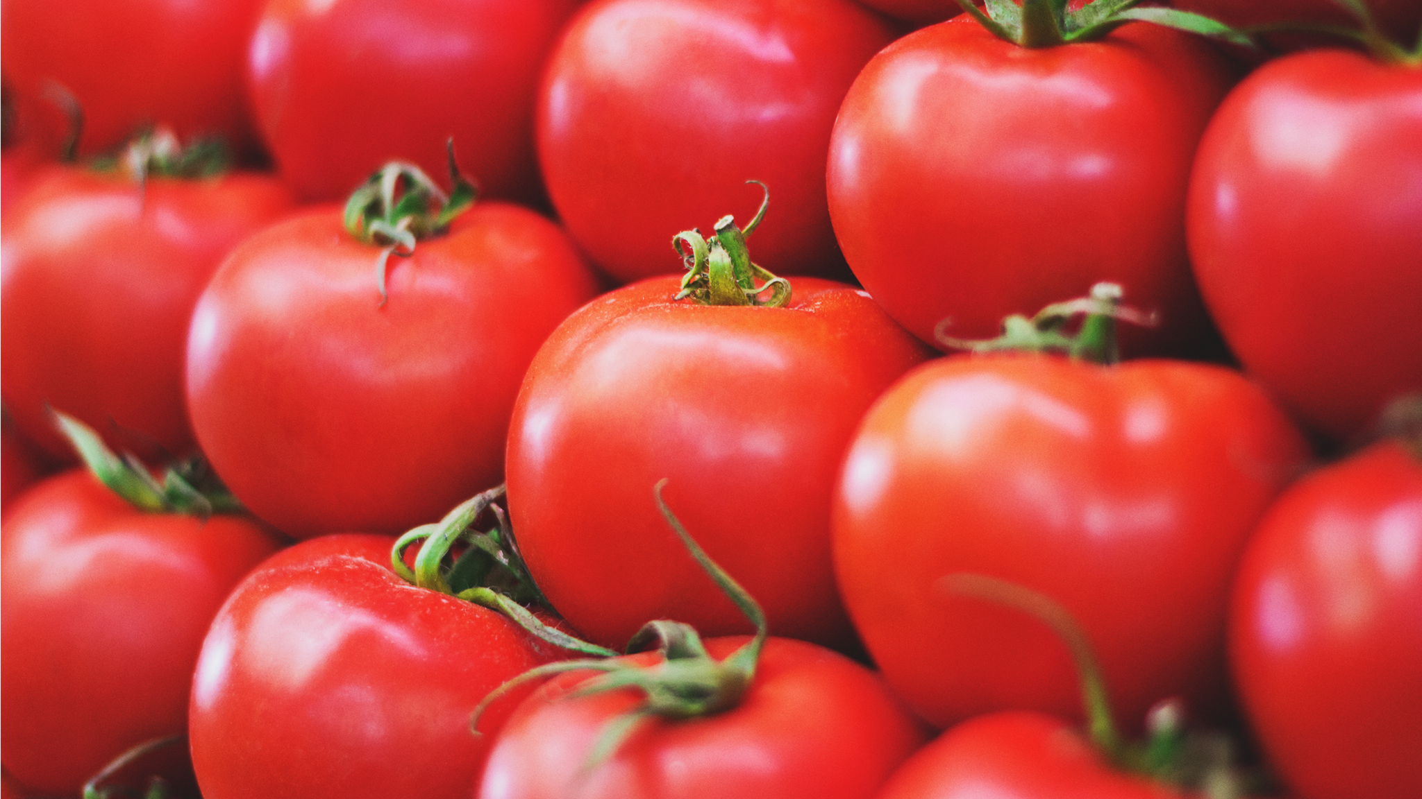 gmo-slider-2.4.png