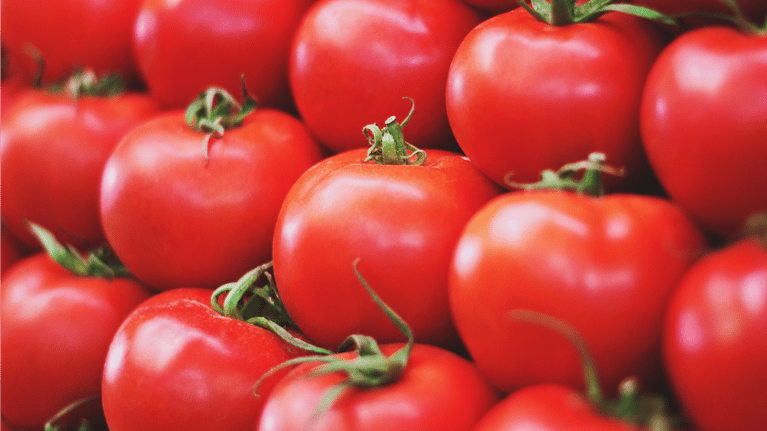 gmo-slider-2.4.png