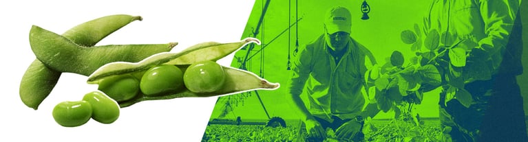 gmos-around-the-globe.png