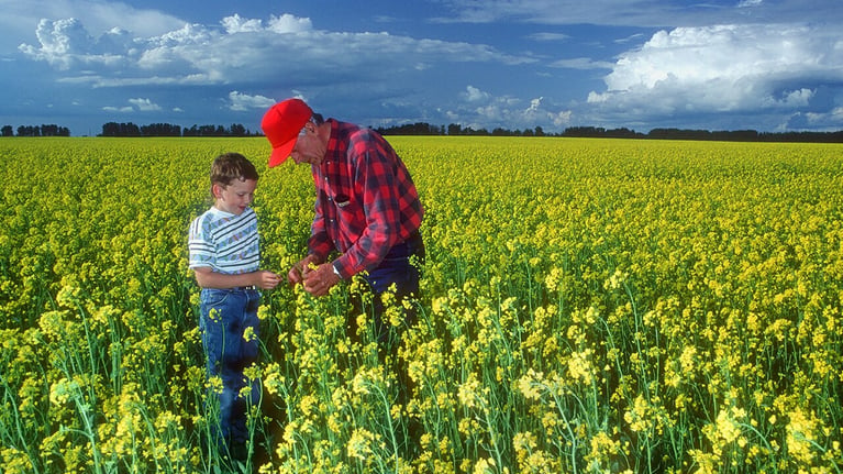 grandfather-and-grandson-1280x720.jpg