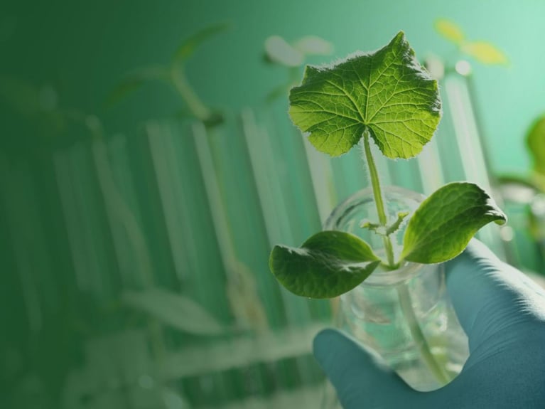 Hand_holding_plant_in_glass (1).jpg