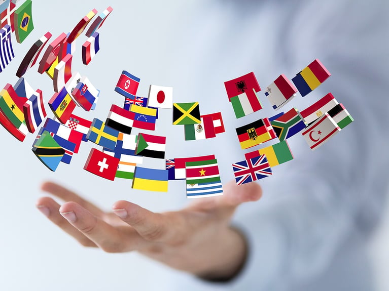 hand-with-flags.png