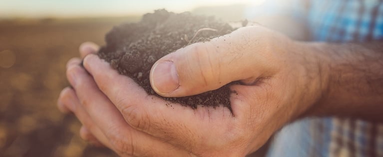 Hands_holding_soil_1440x590.jpg