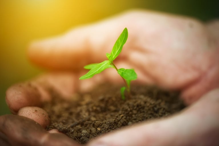 hands-holding-soil-with-sprout.jpg