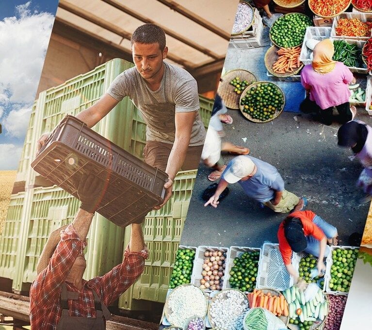 header-image.jpeg