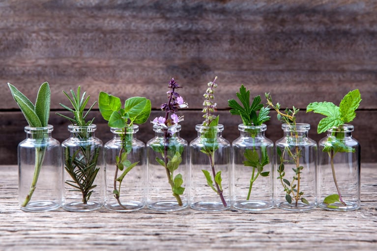 Header_Plants.jpg