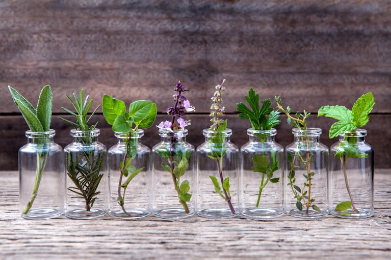 Header_Plants.jpg