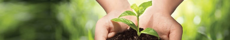 header-sustentabilidade-responsabilidade.png