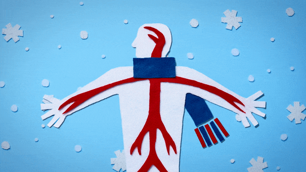 Blood is pushed away from extremities on cold winter days.