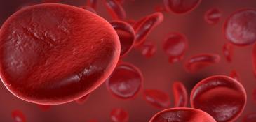 hemophila_0_0.jpg