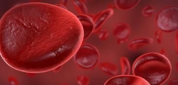 hemophila_0_0.jpg