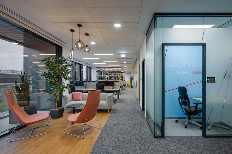 hungary-office-2.jpg