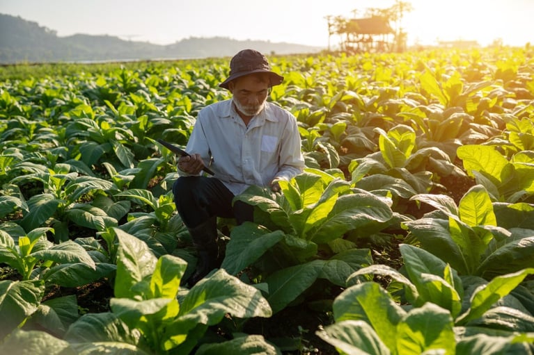 image-cs-farmer-4-23-1229-820-rgb.jpg