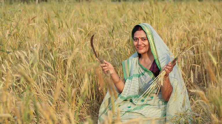 indian-farmer.png