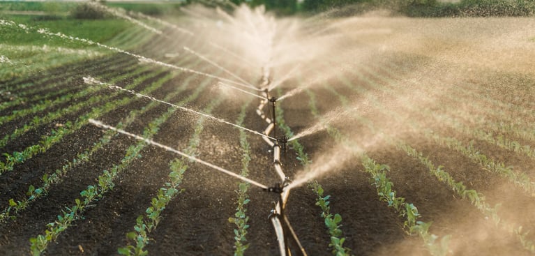 irrigation-in-a-soy-field.jpg