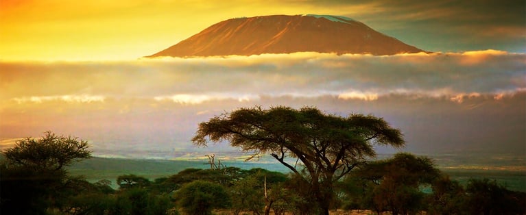 Kenya_Hero_1440x590.jpg