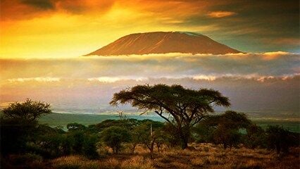 Kenya_Hero_426x240.jpg