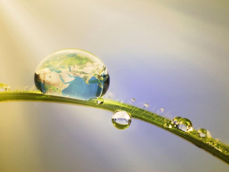 leaf_droplet2.jpg