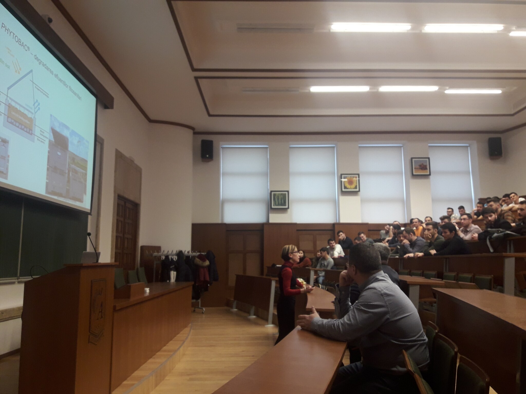 LS Talks_Maria Niculiu_1.jpg
