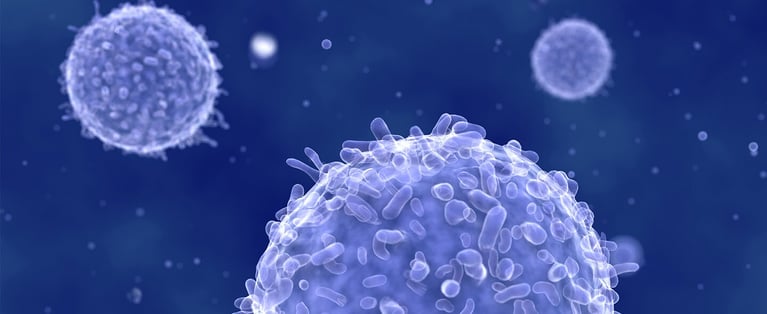lymphocyte_1440x590.jpg