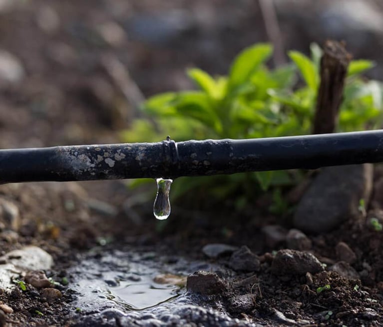 MA_Soil_H2O_DripIrrig_0.jpg