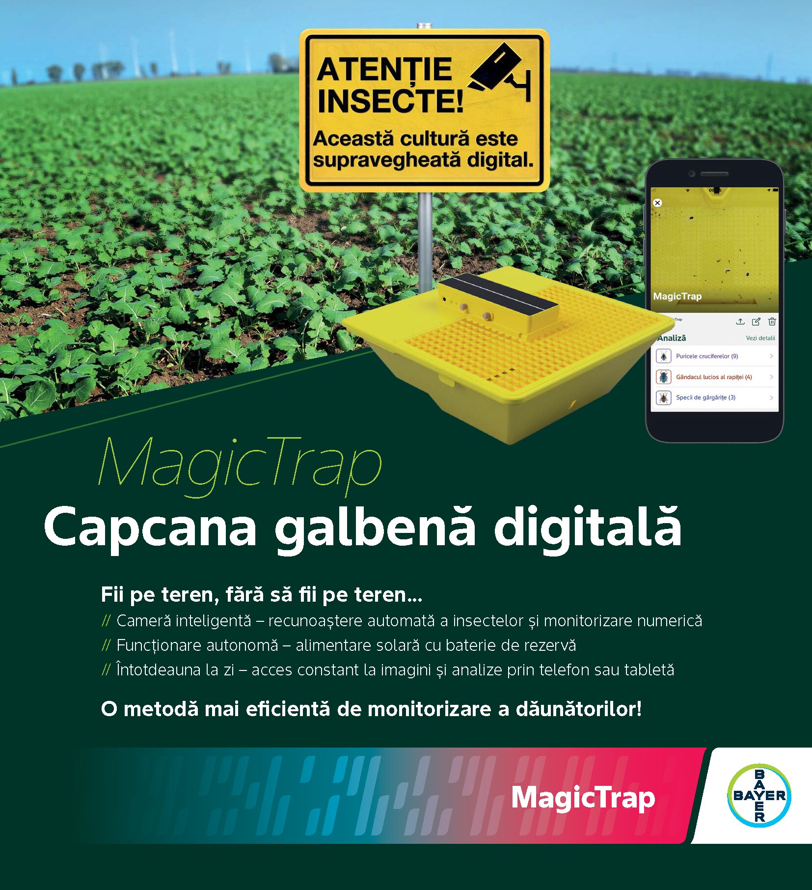 magictrap-1.png
