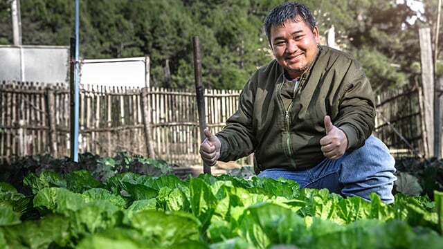mallholder in vegetable garden-640x360.jpg