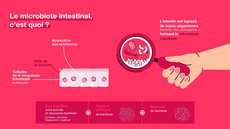 microbiote-intestinal.jpg
