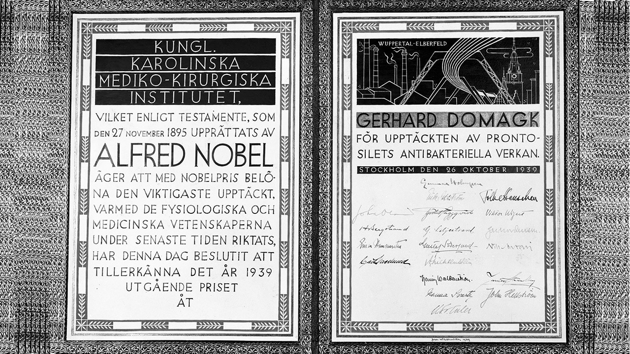 nobelpriset-1.jpg