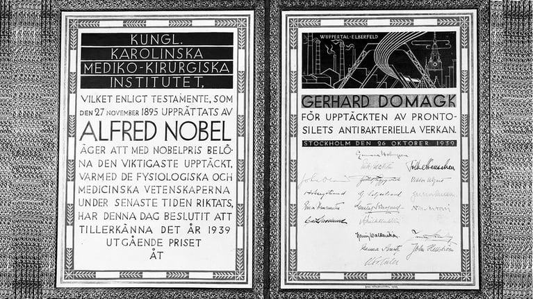 nobelpriset-1.jpg