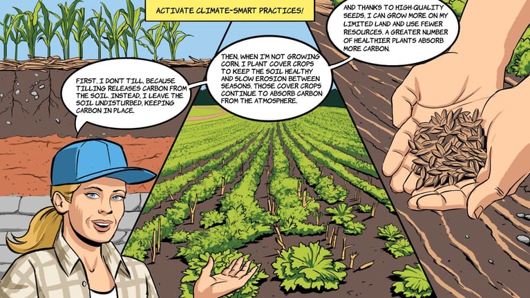 Page7ColorFinal copy_0.jpg