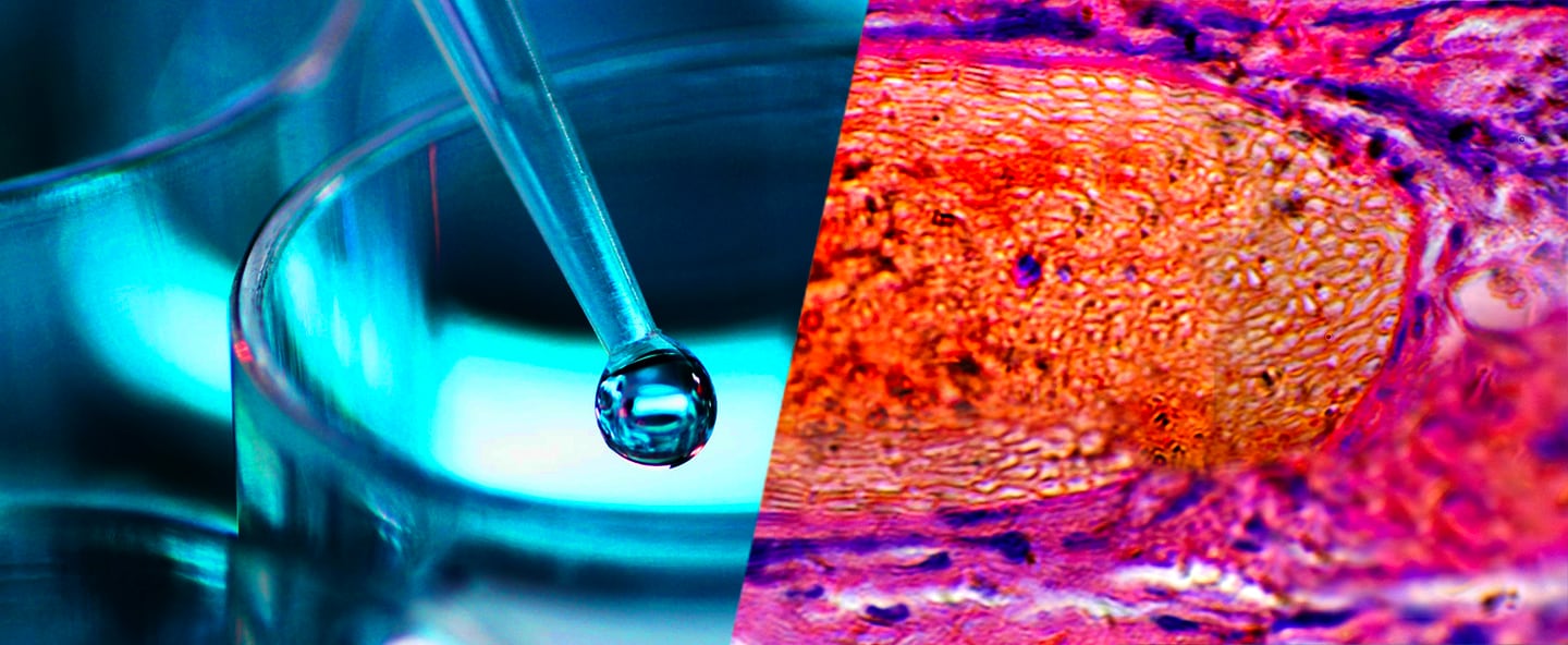 Patient_header.jpg