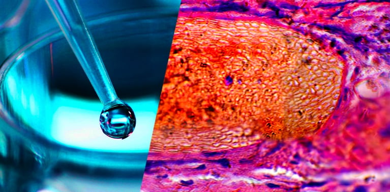 Patient_header.jpg