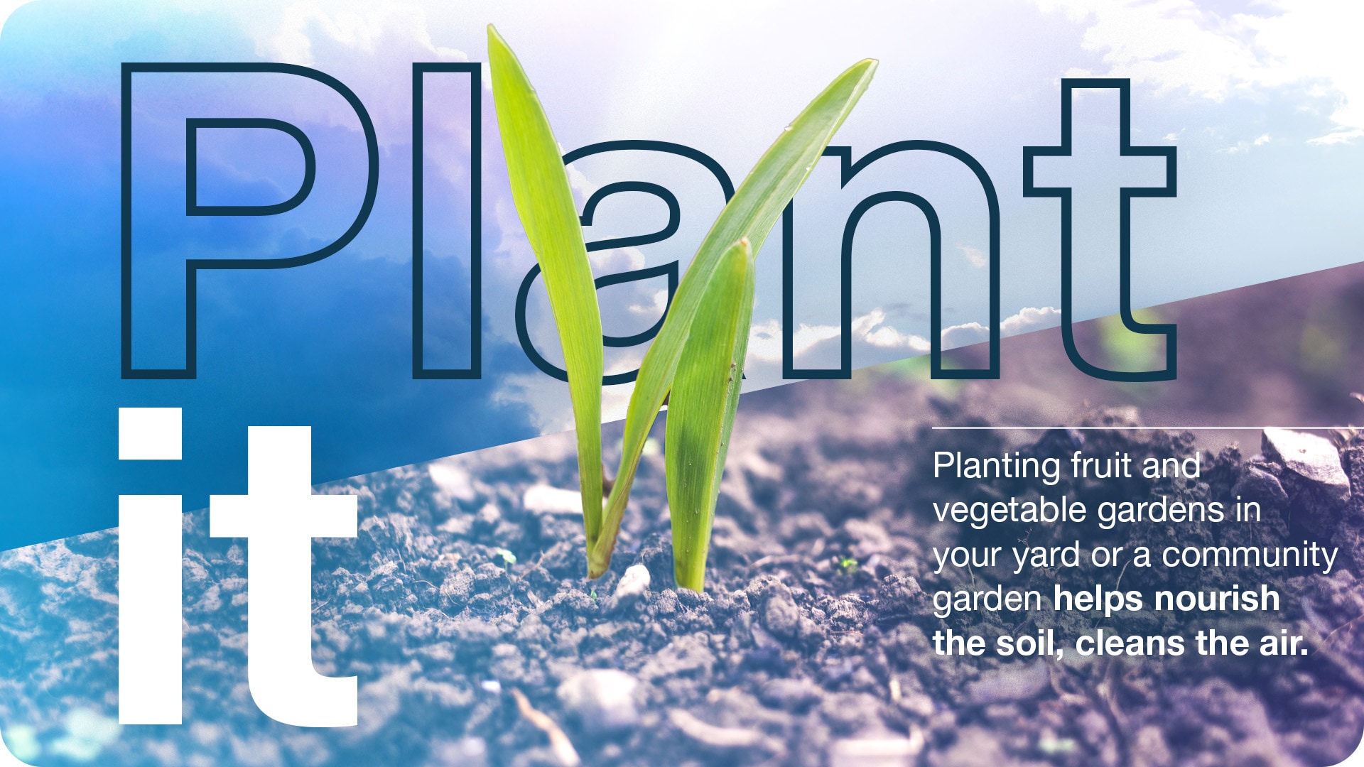 personal-plant-it.jpg