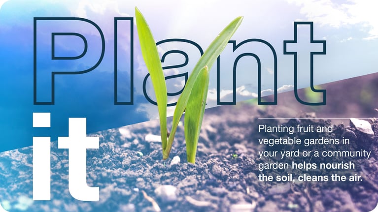 personal-plant-it.jpg