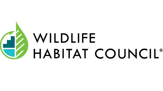picture12.png