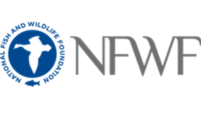 picture9.png