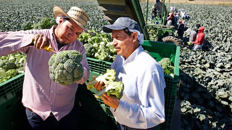PlantBreeding_Slider_1.png