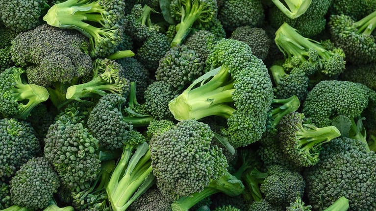 PlantBreeding_Slider_2.png
