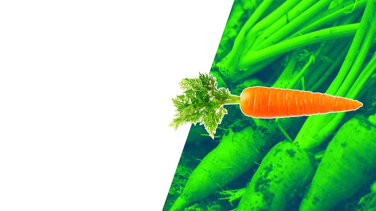 PlantBreedingBasics_Carrots5.png