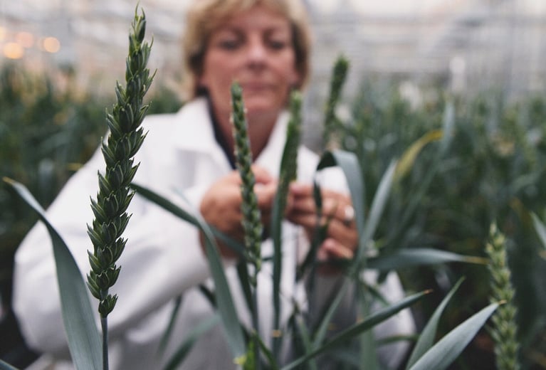 PlantBreedingBasics_ImageCollage_Front_1590x1200.png