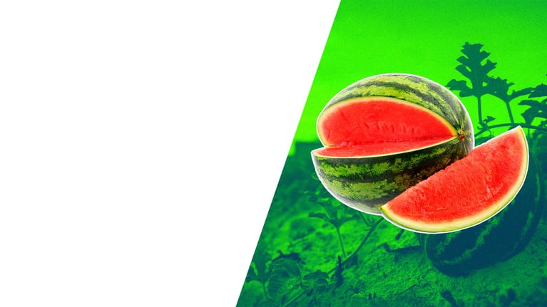 PlantBreedingBasics_Watermelon2.png